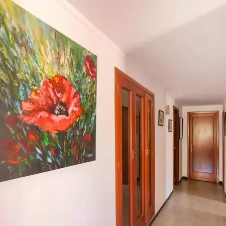 Xavier - House In Picafort Free Wifi Can Picafort (Mallorca)